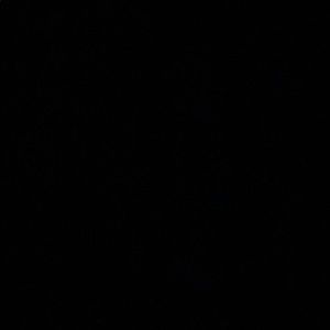 Meet your Posher, Abigail